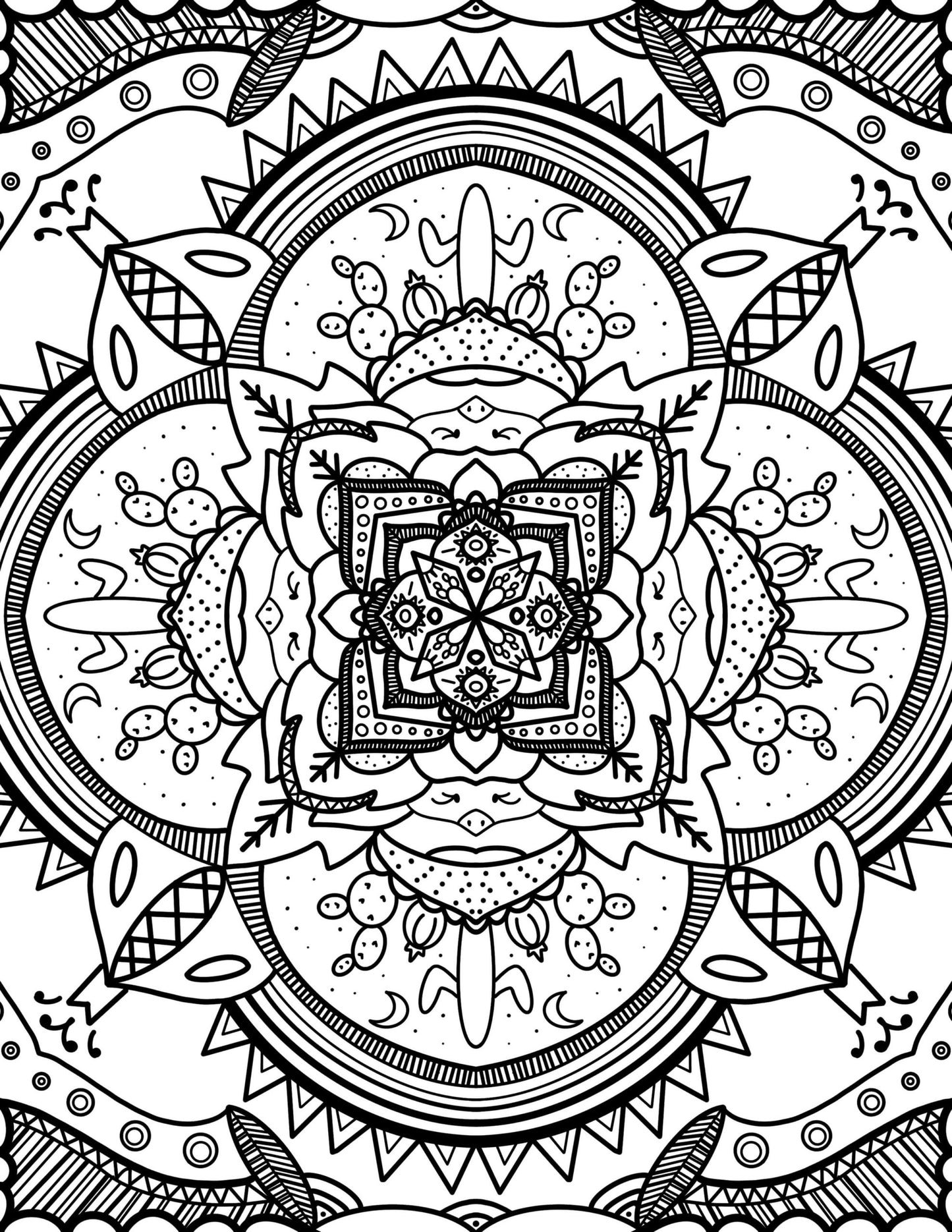 Desert Botanical Garden